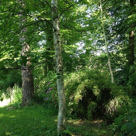 Domaine De Chantemerles Фонтенбло Экстерьер фото