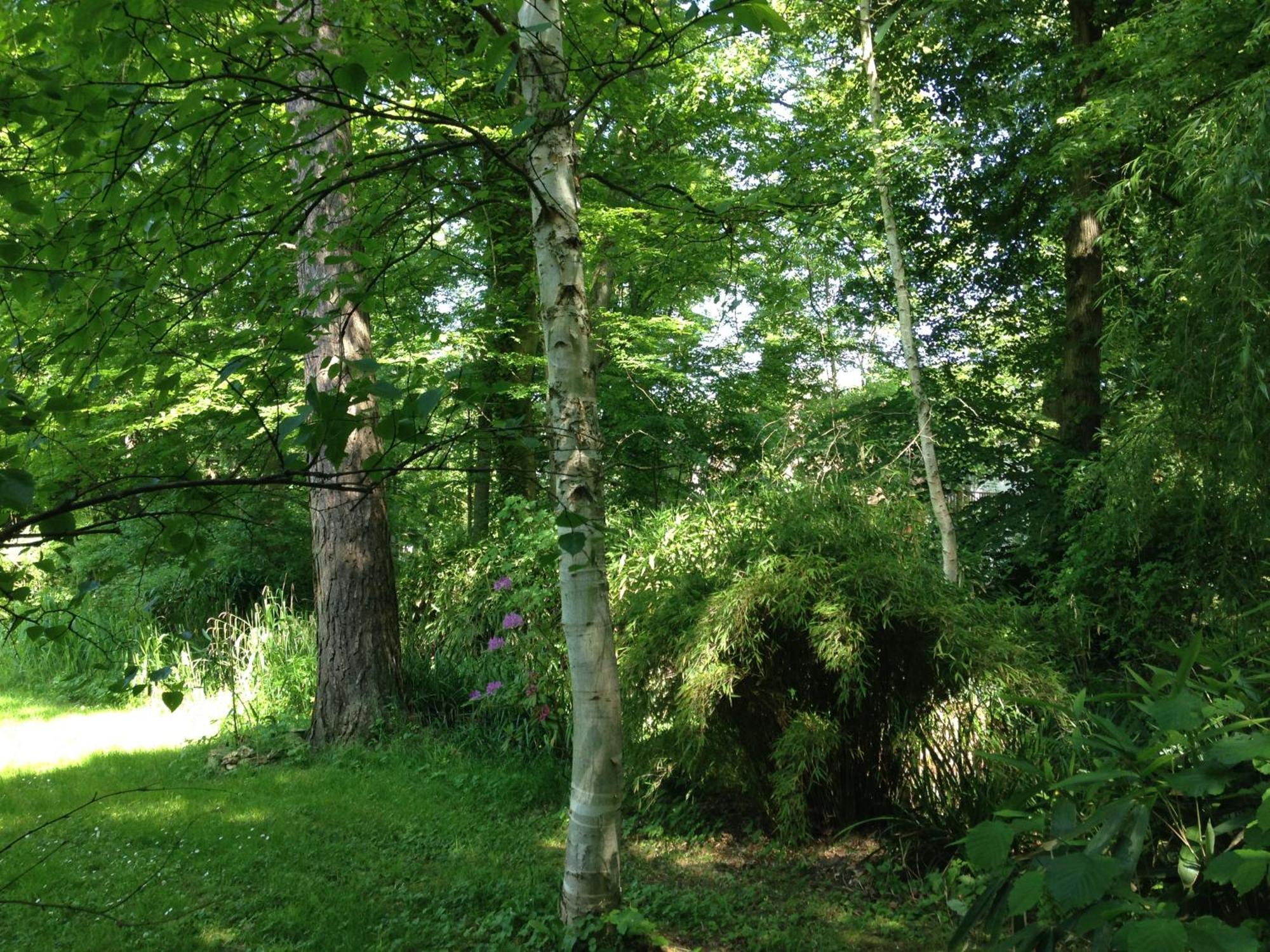 Domaine De Chantemerles Фонтенбло Экстерьер фото