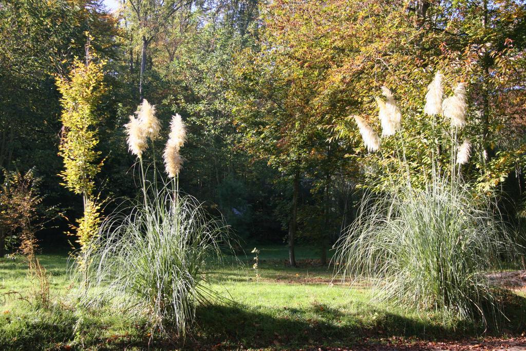 Domaine De Chantemerles Фонтенбло Экстерьер фото